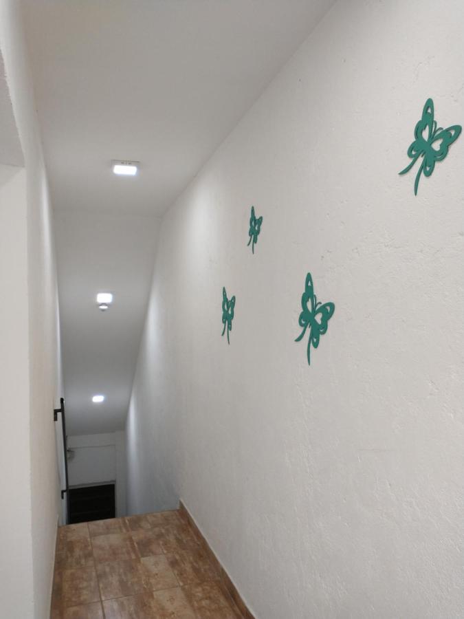Departamentos Pachamama Apartment Tunuyan Bagian luar foto
