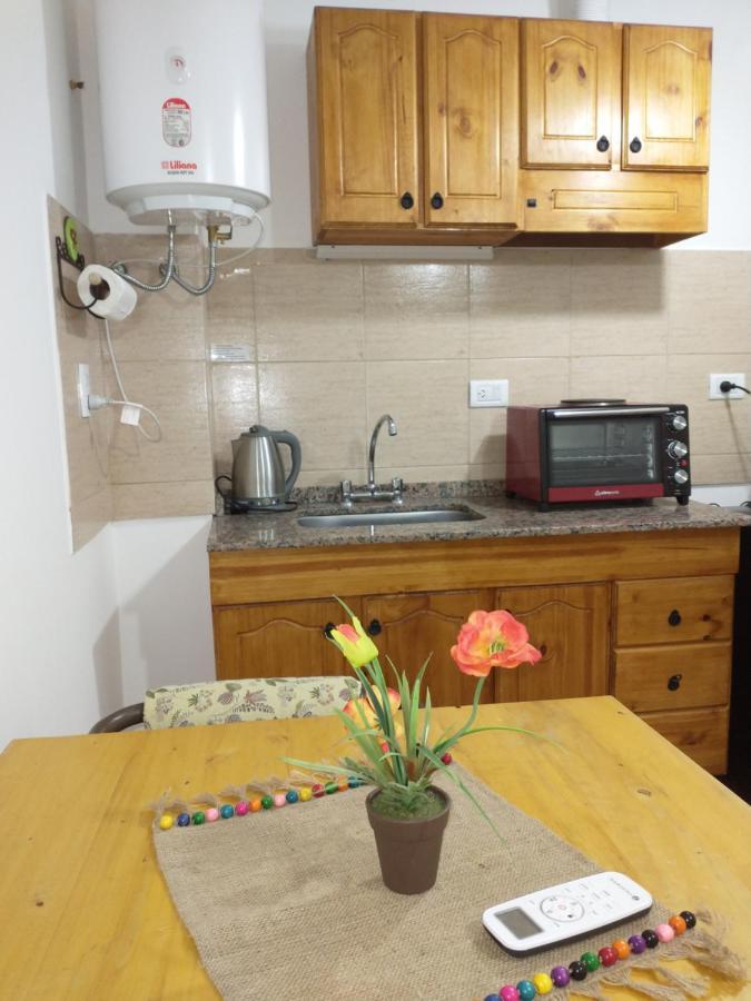 Departamentos Pachamama Apartment Tunuyan Bagian luar foto